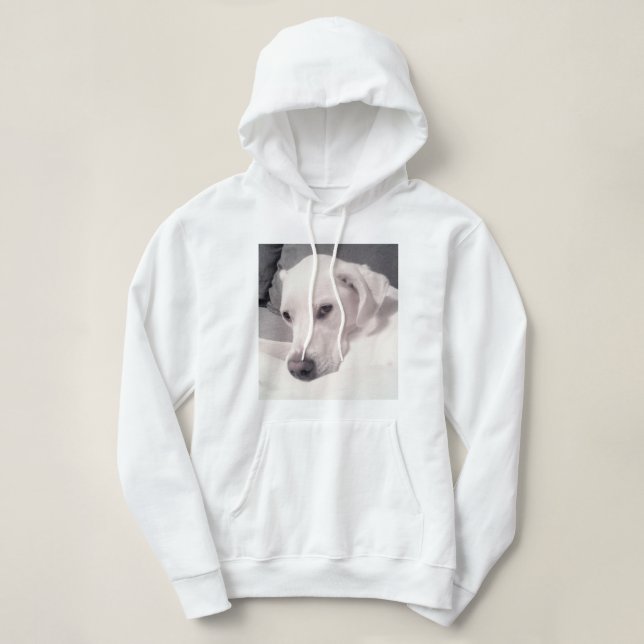 Camiseta Labrador Mix Cinza Hoodie (Frente do Design)