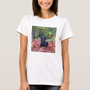 Camiseta Labrador Negro Em Folhas De outono