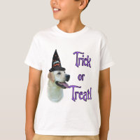 Labrador Retriever (amarelo) Trick