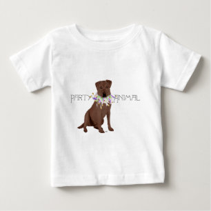 Camiseta Labrador Retriever Animal de Festa Marrom