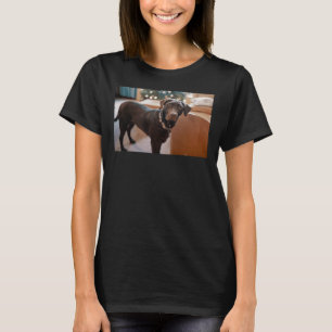 Camiseta Labrador Retriever Cute Face