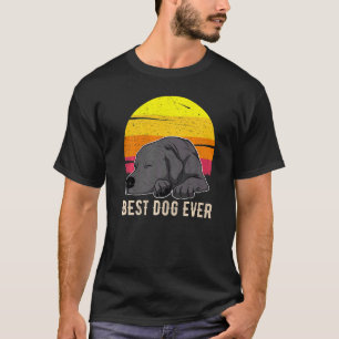 Camiseta Labrador Retriever Dog Sunset 57