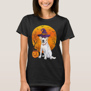 Camiseta Labrador Retriever Lua Halloween Chapéu de Bruxa C
