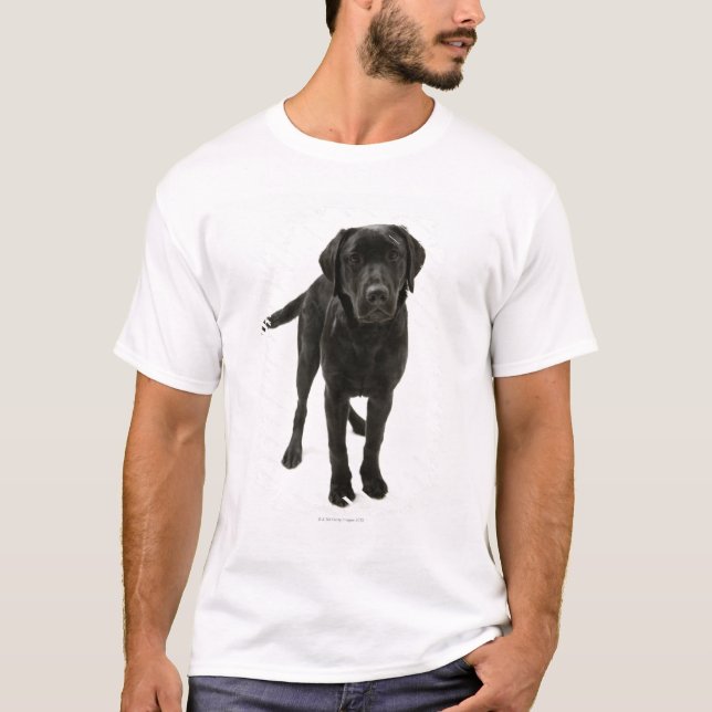Camiseta Labrador retriever preto (Frente)