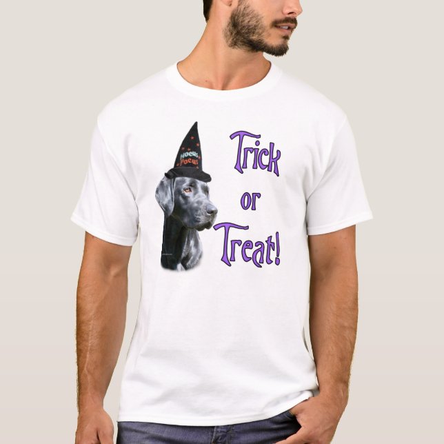 Camiseta Labrador Retriever (preto) Trick (Frente)