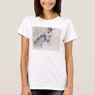 Camiseta Lago 2001 swan