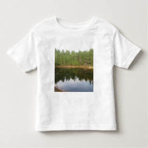 Camiseta Lago de Reflexão da Árvore do Pinheiro