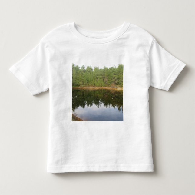 Camiseta Lago de Reflexão da Árvore do Pinheiro (Frente)