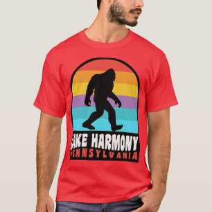 Camiseta Lago Harmony Pensilvânia Poconos Vacation Retro S