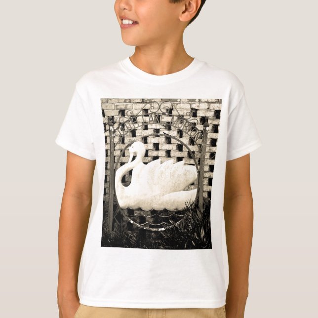 Camiseta Lago histórico Morton (Frente)