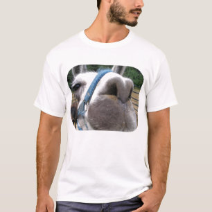 Camiseta Lama Nosy