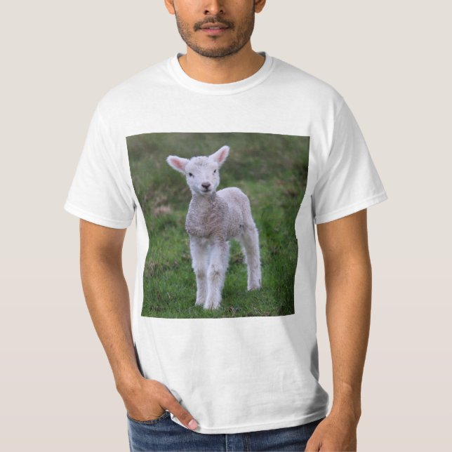 Camiseta Lamb Baby Shea Fazenda Animal (Frente)