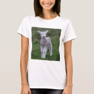 Camiseta Lamb Baby Shea Fazenda Animal