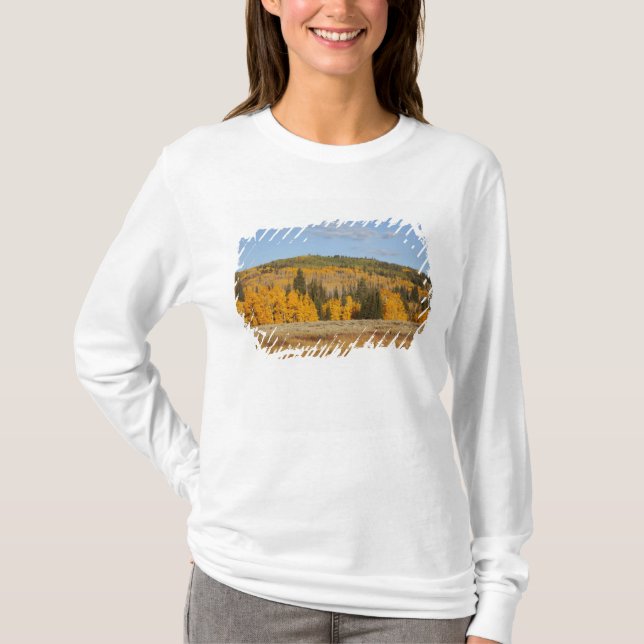 Camiseta Lambert Hollow, árvores de álamo (Frente)