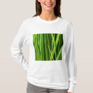 Camiseta Lâminas de gramíneas