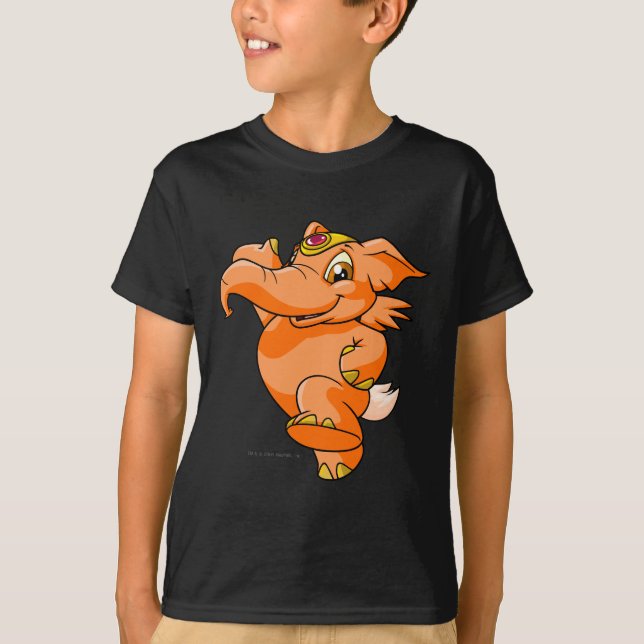 Camiseta Laranja de Elephante (Frente)