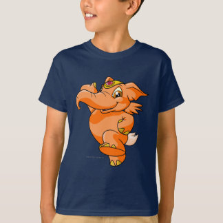 Camiseta Laranja de Elephante