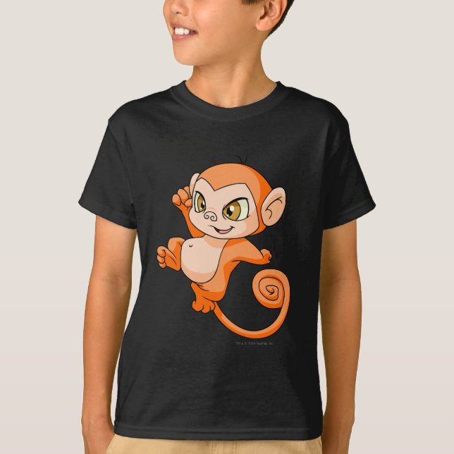 Camiseta Laranja de Mynci (Frente)