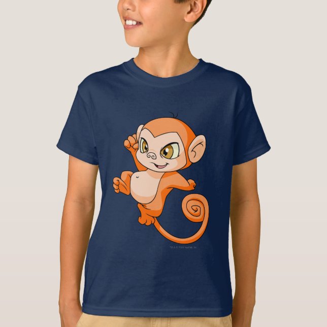 Camiseta Laranja de Mynci (Frente)