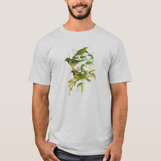 Camiseta Leafbird Ouro-fronteado (aurifrons de Chloropsis)