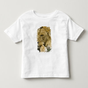 Camiseta Leão-africano, Panthera leo, deitado dormindo