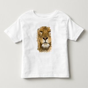 Camiseta Leão Berbere Africano, Panthera leo leo, um dos