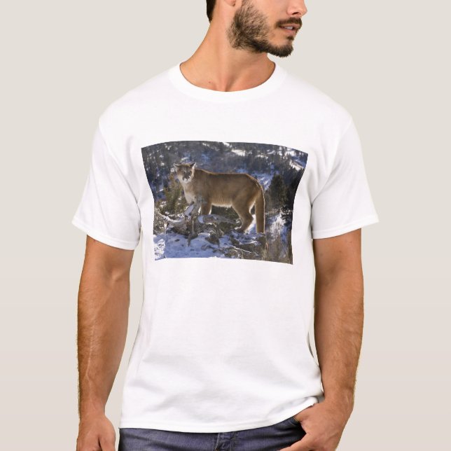Camiseta Leão-da-montanha (Frente)