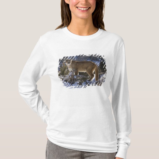 Camiseta Leão-da-montanha (Frente)