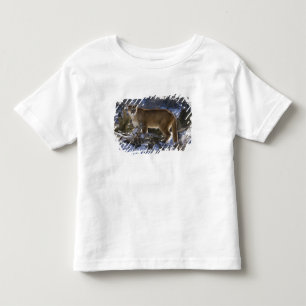 Camiseta Leão-da-montanha