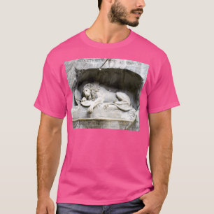 Camiseta Leão De Luzerna