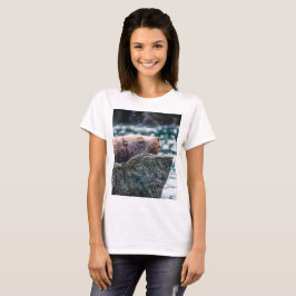 Camiseta Leão-Do-Mar Na Baía De Ressurreição, Alasca
