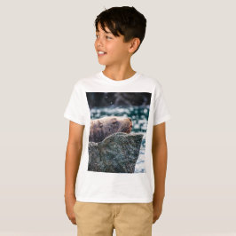 Camiseta Leão-Do-Mar Na Baía De Ressurreição, Alasca