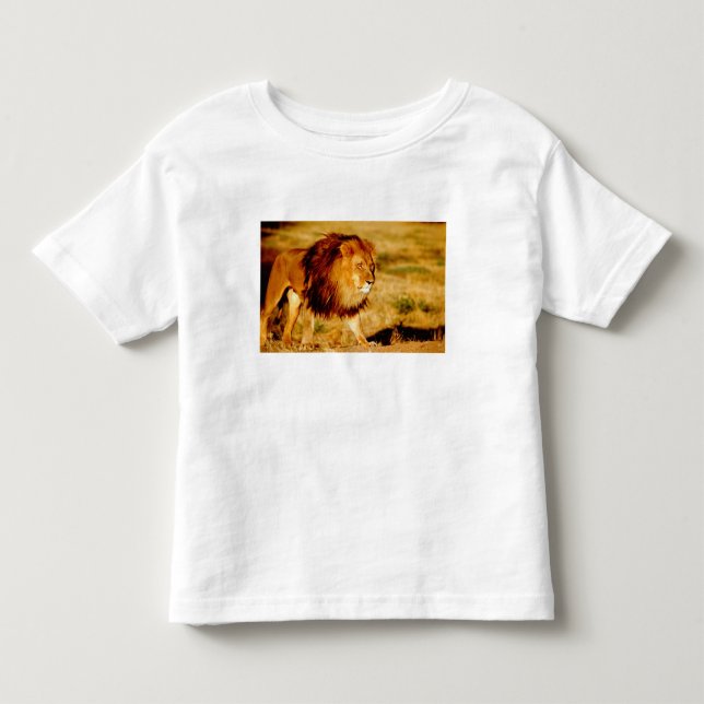 Camiseta Leão Solitário (Frente)