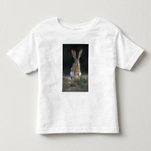 Camiseta Lebre-de-cauda-preta, Lepus californicus, 2