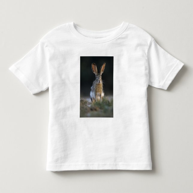 Camiseta Lebre-de-cauda-preta, Lepus californicus, 2 (Frente)