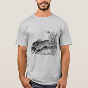 Camiseta Lebre ou coelho antigos