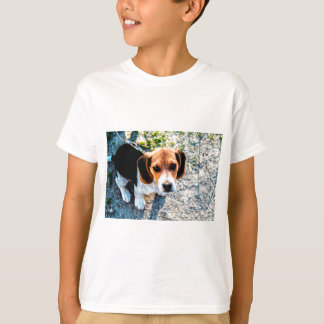 Camiseta Lebreiro bonito
