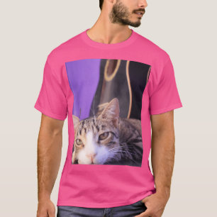 Camiseta Legal Gato De Fotografia Com Violão Para Foto De V