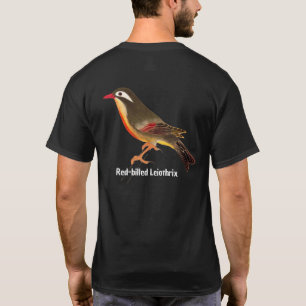 Camiseta Leiotrix, de bico vermelho, de aranha japonesa
