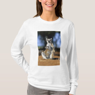 Camiseta Lêmure-de-cauda-anelada, (Lemur catta), Mãe e