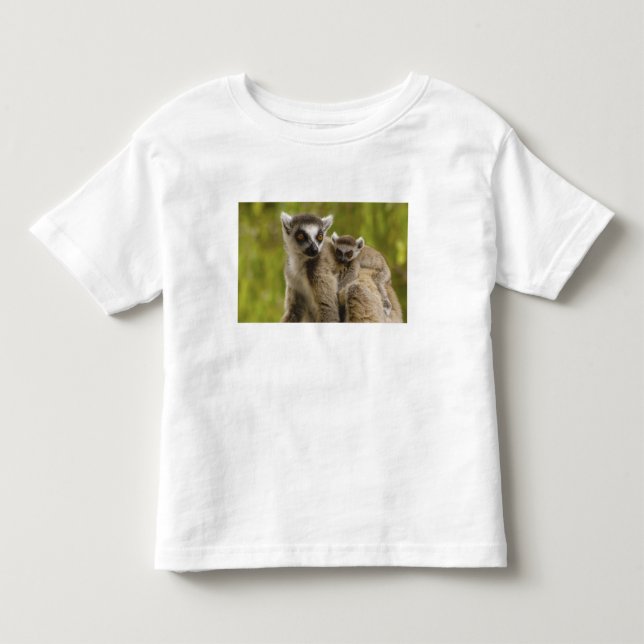 Camiseta Lêmures-de-cauda-anelada (Lemur catta) Mãe e bebê. (Frente)