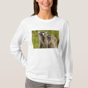 Camiseta Lêmures-de-cauda-anelada (Lemur catta) Mãe e filho