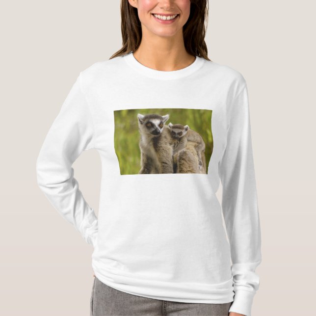 Camiseta Lêmures-de-cauda-anelada (Lemur catta) Mãe e filho (Frente)