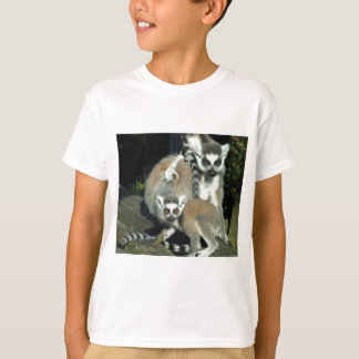 Camiseta Lemurs
