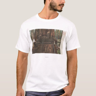 Camiseta Lenhador que reduzem uma árvore da sequóia