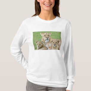 Camiseta Leoa e Dois Filhotes, África Oriental, Tanzânia,