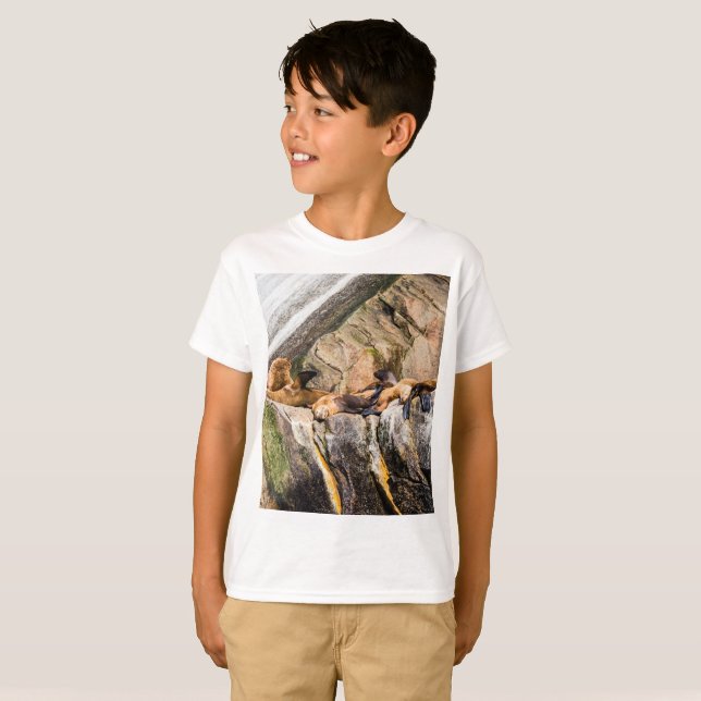 Camiseta Leões Do Mar Deitados Nas Rochas (Frente Completa)