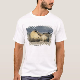 Camiseta Leões-marinhos australianos, Neophoca cinerea),