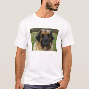 Camiseta leonberger