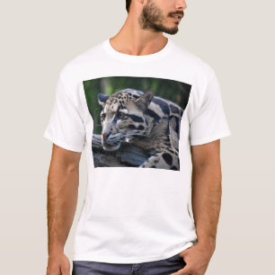 Camiseta Leopardo nublado
